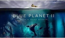 bbc深海 在线观看,在线观看之旅